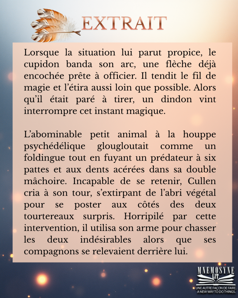 Un Fiasco Enchanté 4