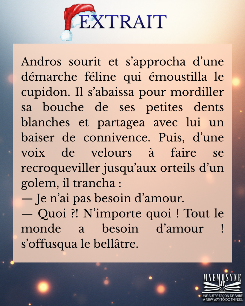 Un Fiasco Enchanté cover reveal + sortie (3)