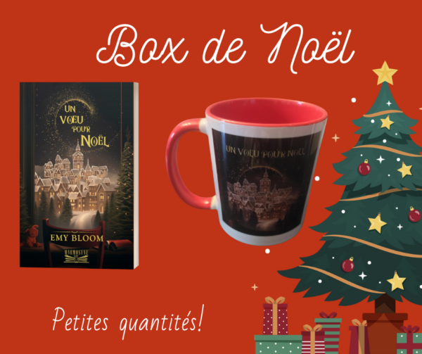 Box spéciale Noël